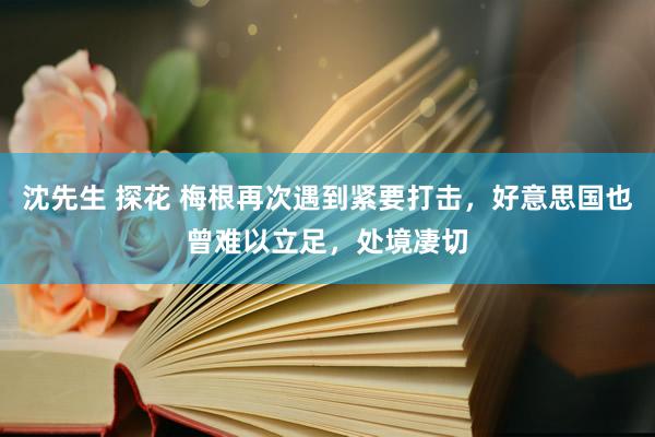 沈先生 探花 梅根再次遇到紧要打击，好意思国也曾难以立足，处境凄切