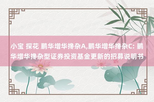 小宝 探花 鹏华增华搀杂A,鹏华增华搀杂C: 鹏华增华搀杂型证券投资基金更新的招募说明书