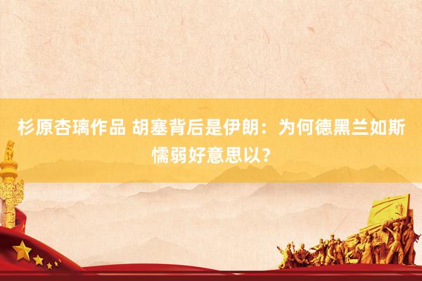 杉原杏璃作品 胡塞背后是伊朗：为何德黑兰如斯懦弱好意思以？