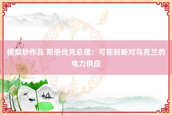 橘梨纱作品 斯洛伐克总理：可能割断对乌克兰的电力供应