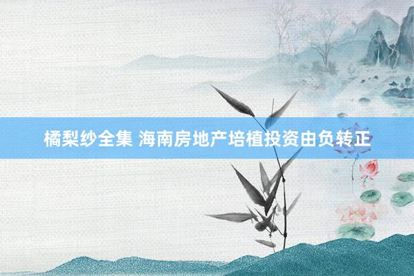 橘梨纱全集 海南房地产培植投资由负转正