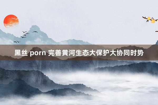 黑丝 porn 完善黄河生态大保护大协同时势