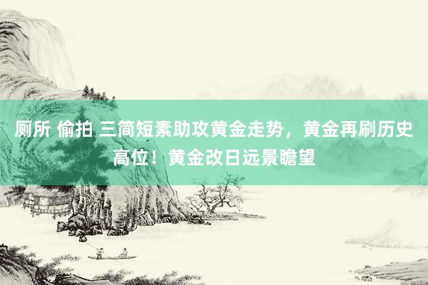 厕所 偷拍 三简短素助攻黄金走势，黄金再刷历史高位！黄金改日远景瞻望