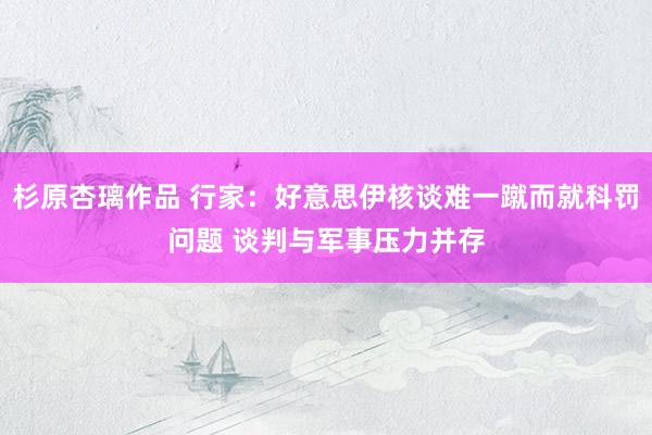 杉原杏璃作品 行家：好意思伊核谈难一蹴而就科罚问题 谈判与军事压力并存