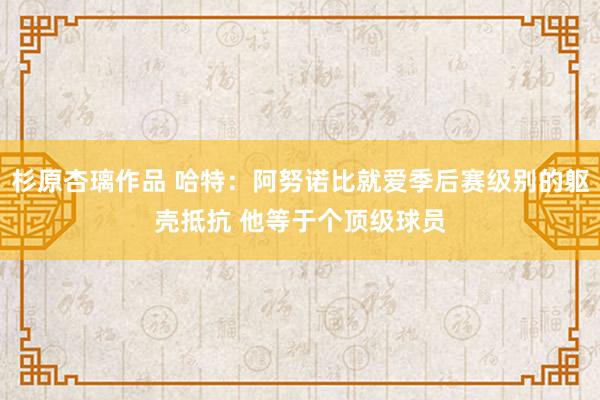 杉原杏璃作品 哈特：阿努诺比就爱季后赛级别的躯壳抵抗 他等于个顶级球员