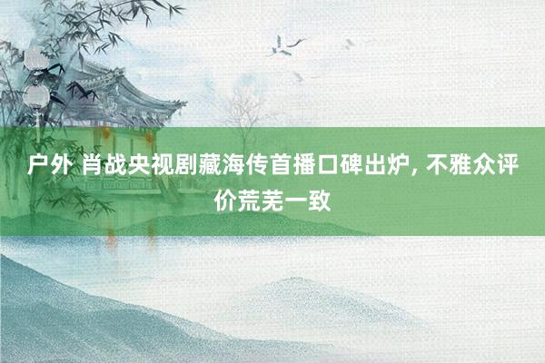 户外 肖战央视剧藏海传首播口碑出炉， 不雅众评价荒芜一致